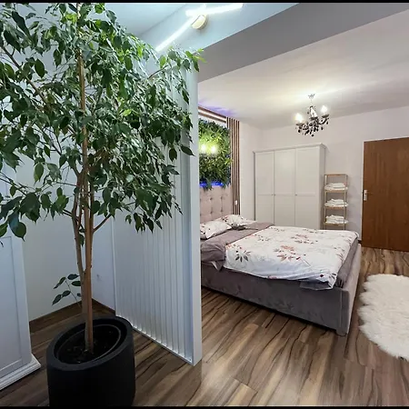 Ulo Apartment